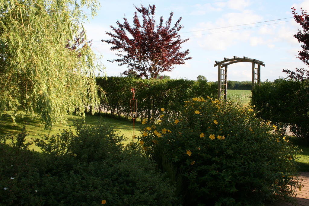Herbages De Beauvais Orgères-la-Roche Kültér fotó
